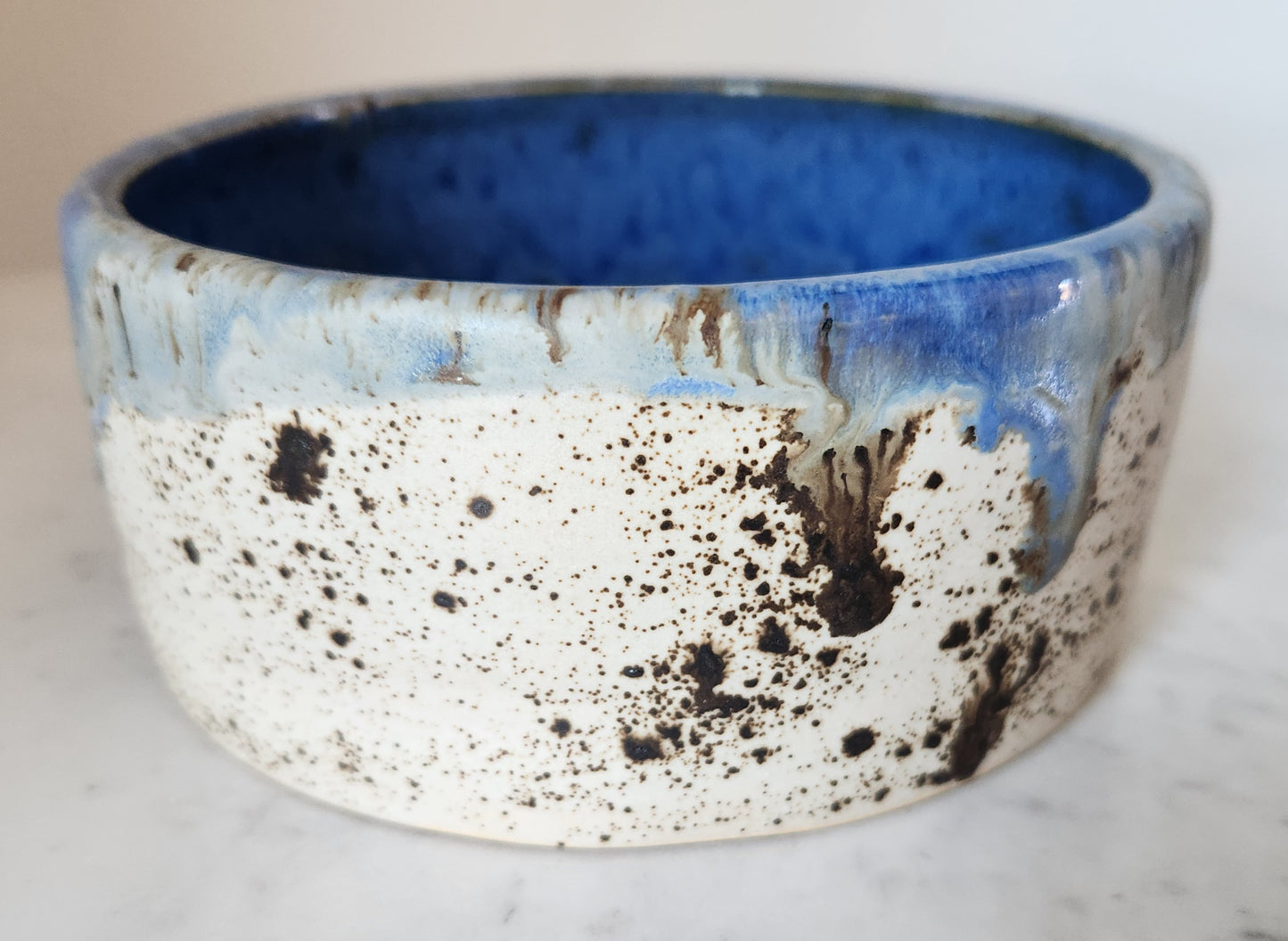 Dog Bowl (WW/Blue Surf)