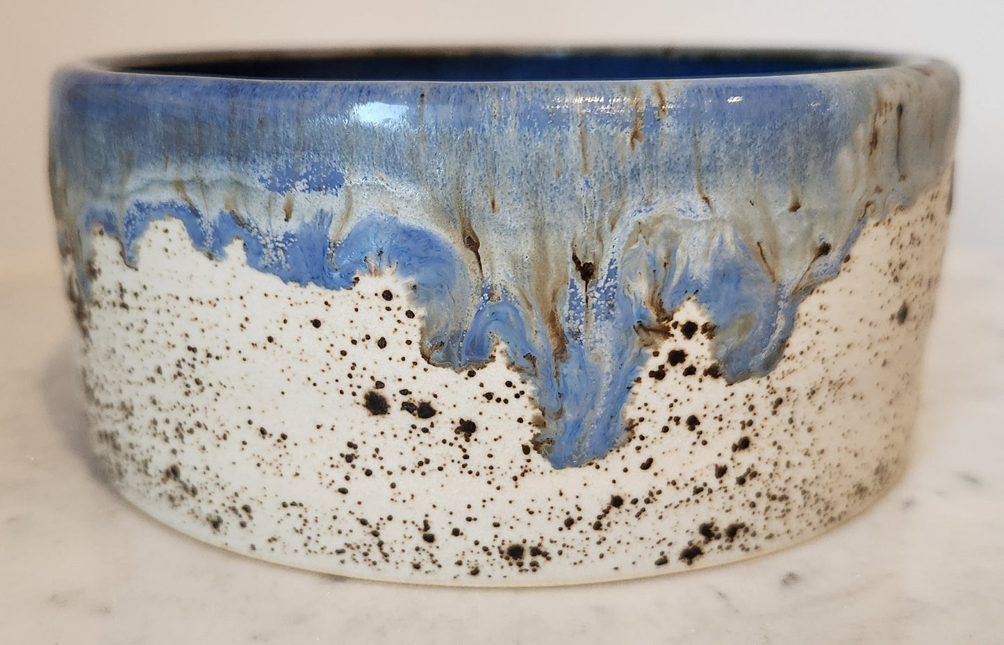 Dog Bowl (WW/Blue Surf)