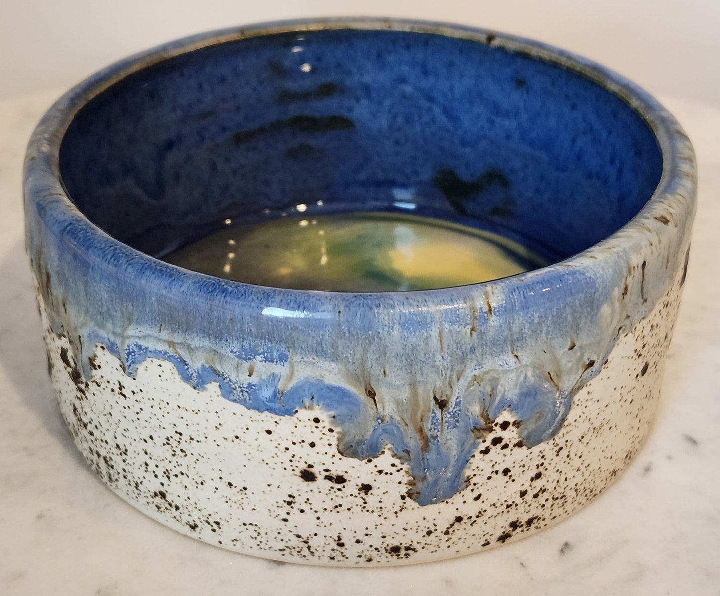 Dog Bowl (WW/Blue Surf)