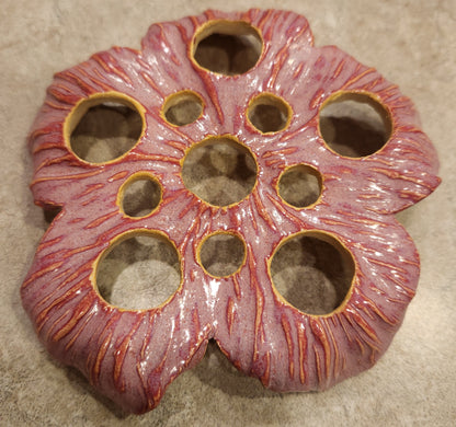 Flower Frogs